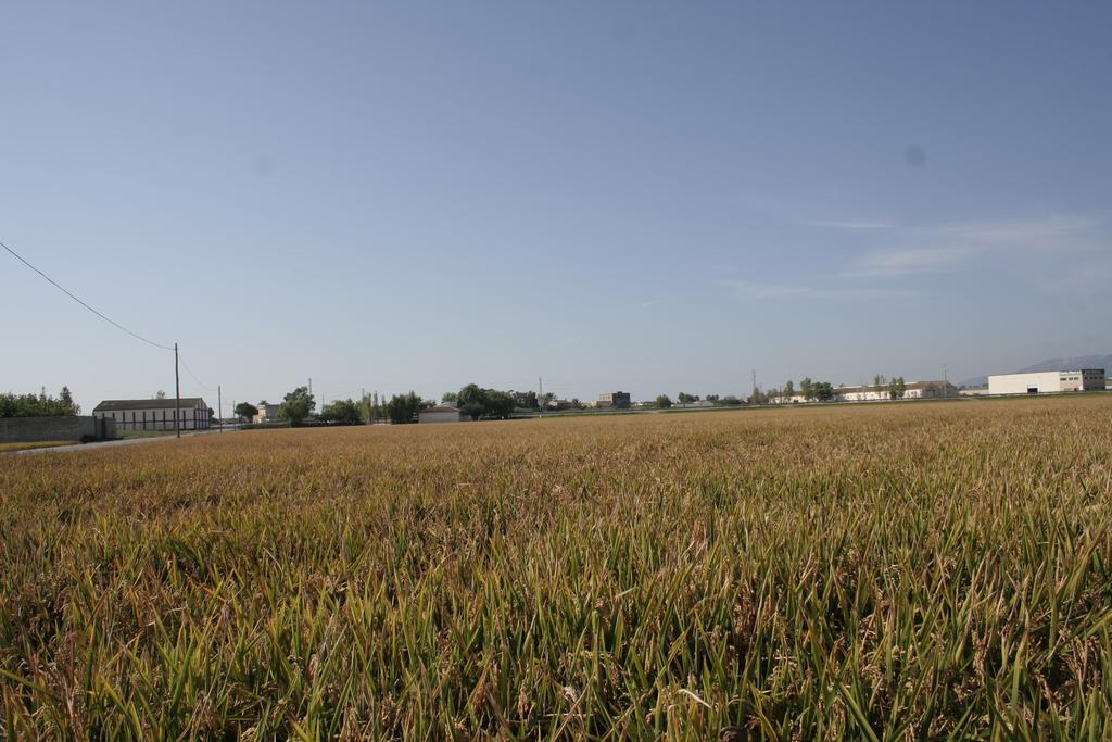 La Casilla ξενώνας Deltebre Εξωτερικό φωτογραφία